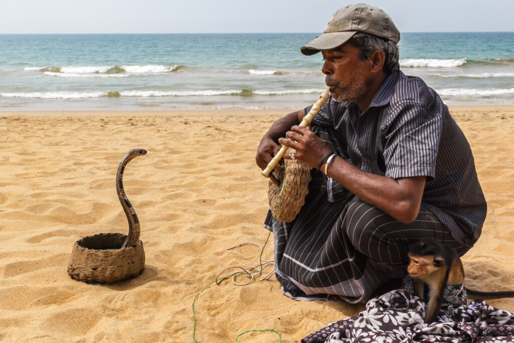 AWS Agent Registry: Taming Wild Agents