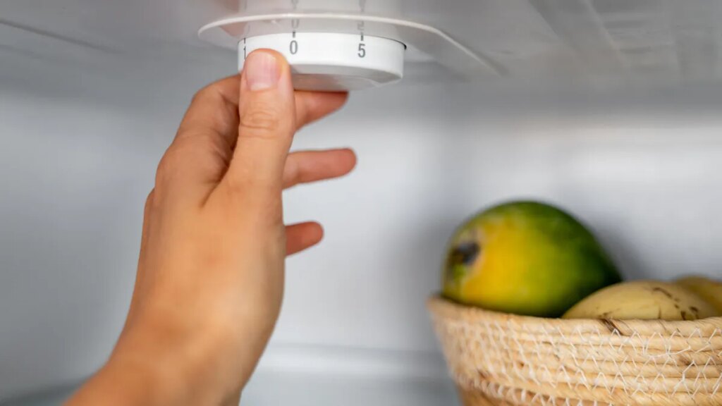 Does Your Fridge Keep Freezing Your Veggies? Here's How I Fixed It