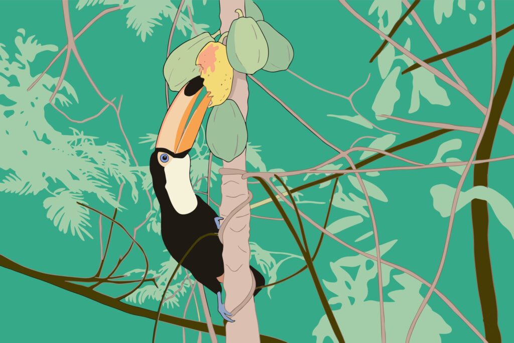 How to build an AI-powered private document search app with RAG, ChromaDB, and memory