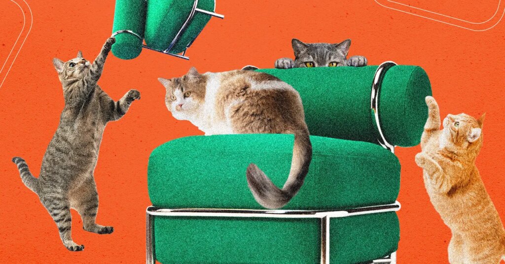 Ikea's New Blow-Up Chair Was Tested by Cats