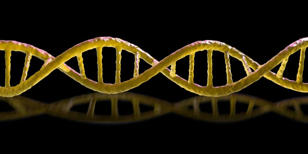 No one's sure if synthetic mirror life will kill us all