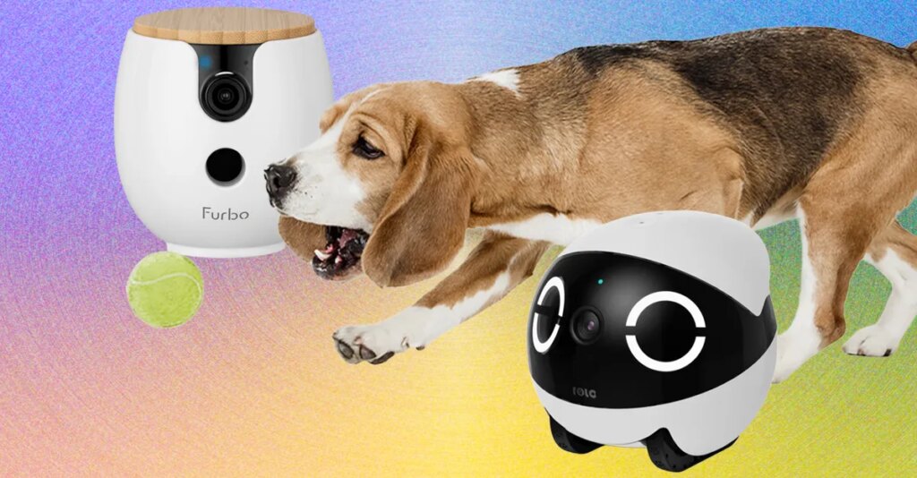 The 10 Best Pet Cameras of 2026: Furbo, Petcube, and Enabot
