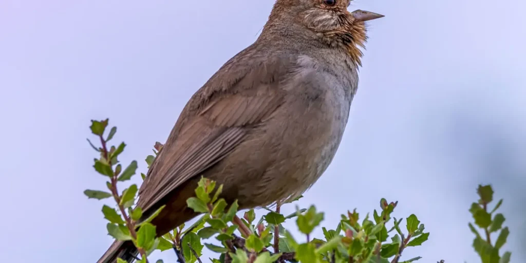 The Download: turning down human noise, and LA's stunning subway upgrade